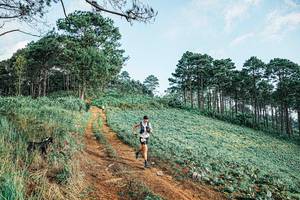 BIB: 
                            <button type="button" onclick="openModal(25654226)" class="btn btn-primary btn-sm float-right btn-popup" data-toggle="modal" data-target=".modal-high-quality">
                        <i class="fas fa-shopping-cart"></i> Add to Cart
                    </button>
                                            <button type="button" onclick="isThisMe(25654226, true)" class="btn btn-success btn-sm float-right btn-popup btn-isme hidden" data-toggle="tooltip" data-placement="bottom" title="นี่คือรูปของคุณใช่ไหม คลิกที่นี่เพื่อเอาเข้าอัลบั้ม">
                        <i class="fas fa-plus"></i> Add to album
                    </button>
                    <button type="button" onclick="isThisMe(25654226, false)" class="btn btn-warning btn-sm float-right btn-popup btn-isnotme hidden">
                        <i class="fas fa-ban"></i> Remove from album
                    </button>